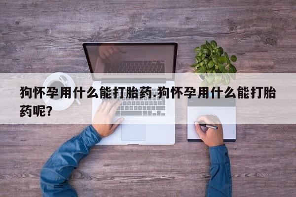 网上如何购买堕胎药狗怀孕用什么能打胎药.狗怀孕用什么能打胎药呢？