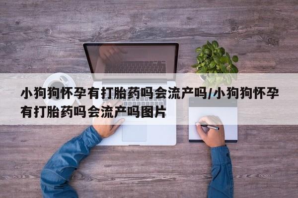 网上如何购买堕胎药小狗狗怀孕有打胎药吗会流产吗/小狗狗怀孕有打胎药吗会流产吗图片