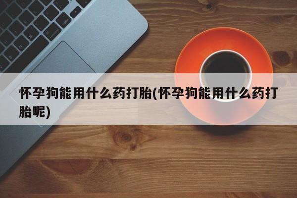 网上如何购买堕胎药怀孕狗能用什么药打胎(怀孕狗能用什么药打胎呢)