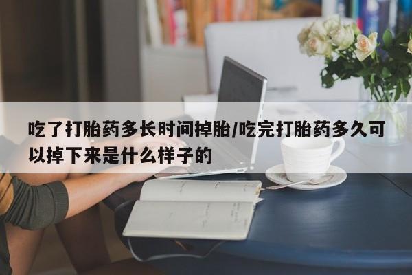 网上如何购买堕胎药吃了打胎药多长时间掉胎/吃完打胎药多久可以掉下来是什么样子的